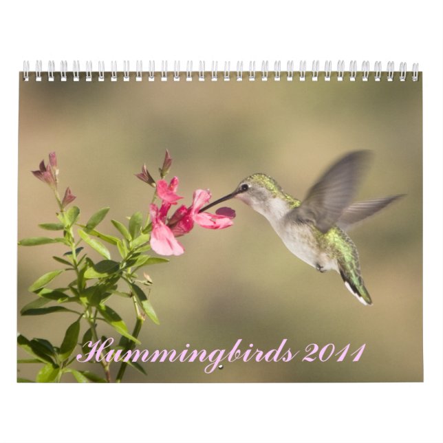 Calendario del colibrí (Tapa)