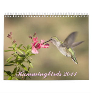 Calendario del colibrí
