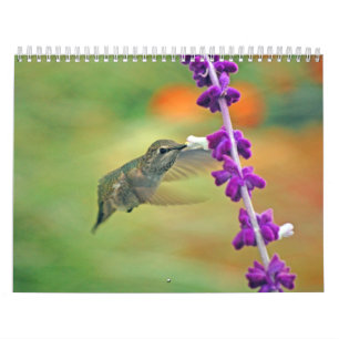 Calendario del colibrí del patio trasero