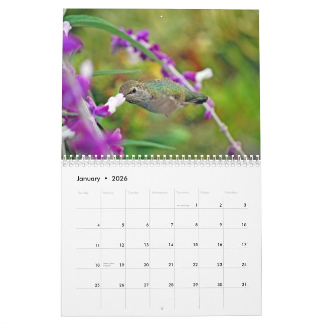 Calendario del colibrí del patio trasero (Jan 2026)