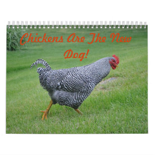 Calendario del corral del pollo