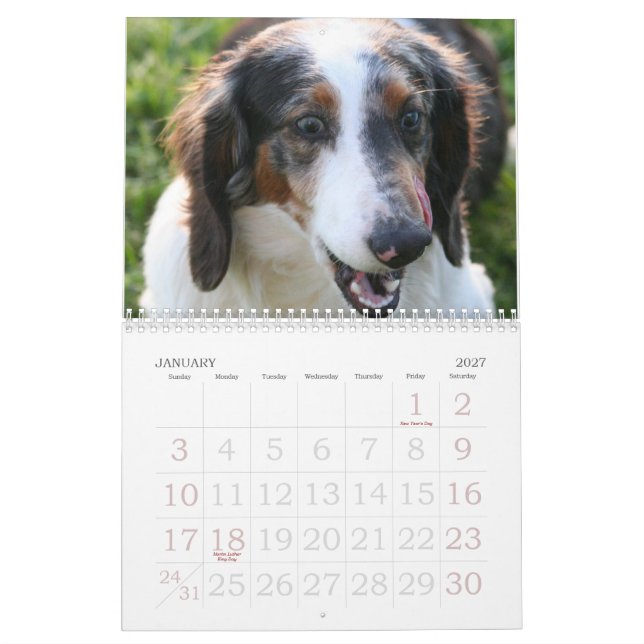 Calendario del Dachshund (Jan 2027)