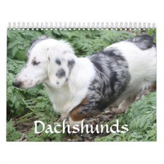 Calendario del Dachshund