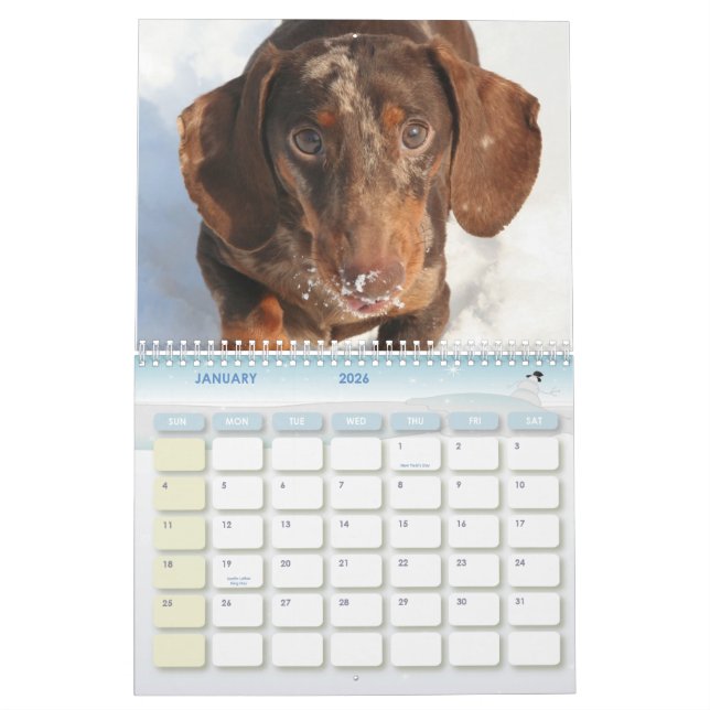 Calendario del Dachshund (Jan 2026)