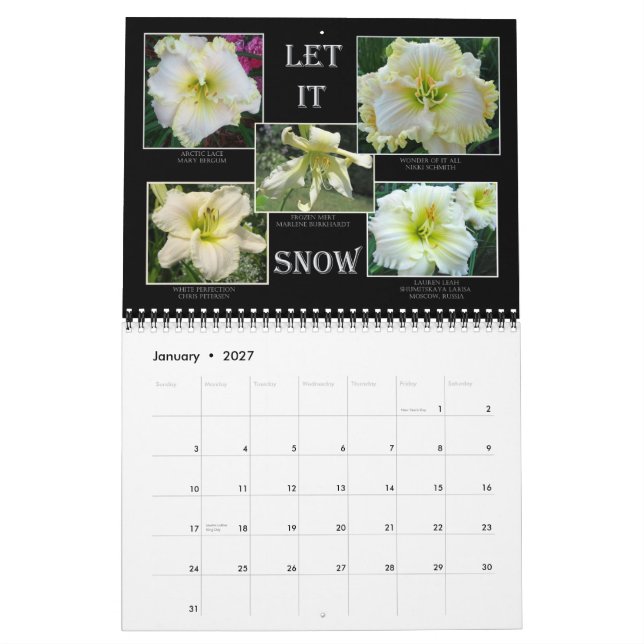 Calendario del Daylily de 2014 AHS (Jan 2027)
