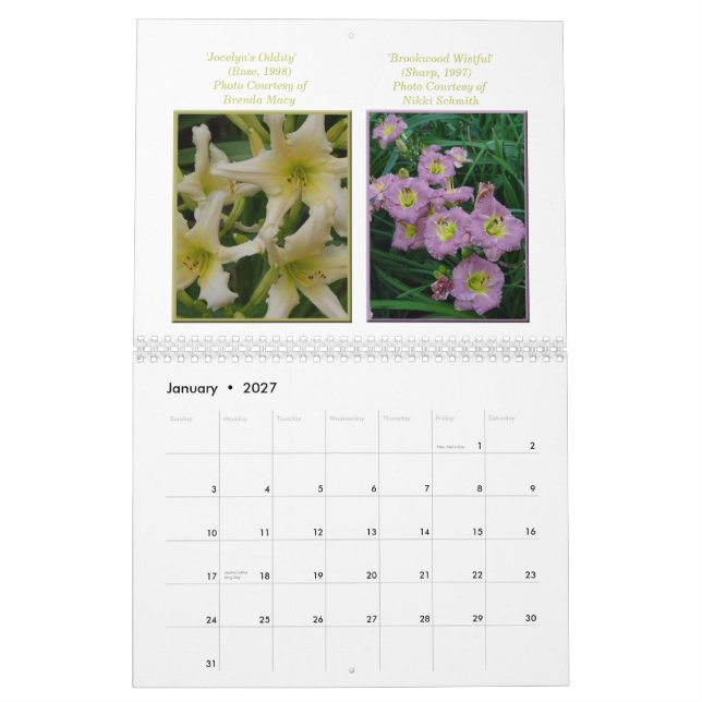 Calendario del Daylily de 2015 AHS (Jan 2027)