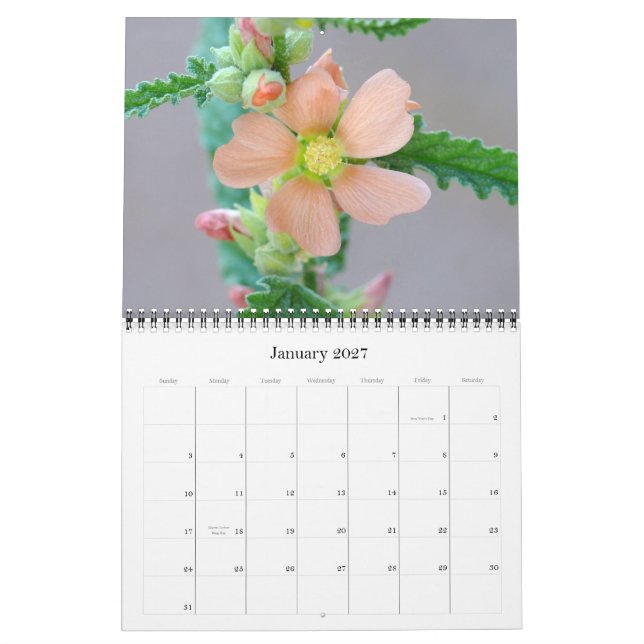 Calendario del desierto de Sonoran para 2008 (Jan 2027)
