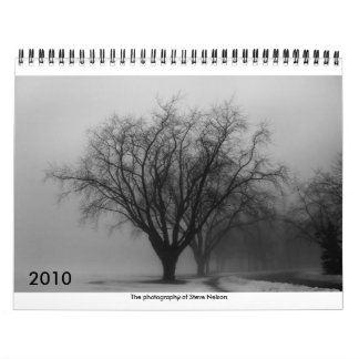 Calendario del diseño de Nelson, 2010
