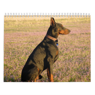Calendario del Doberman
