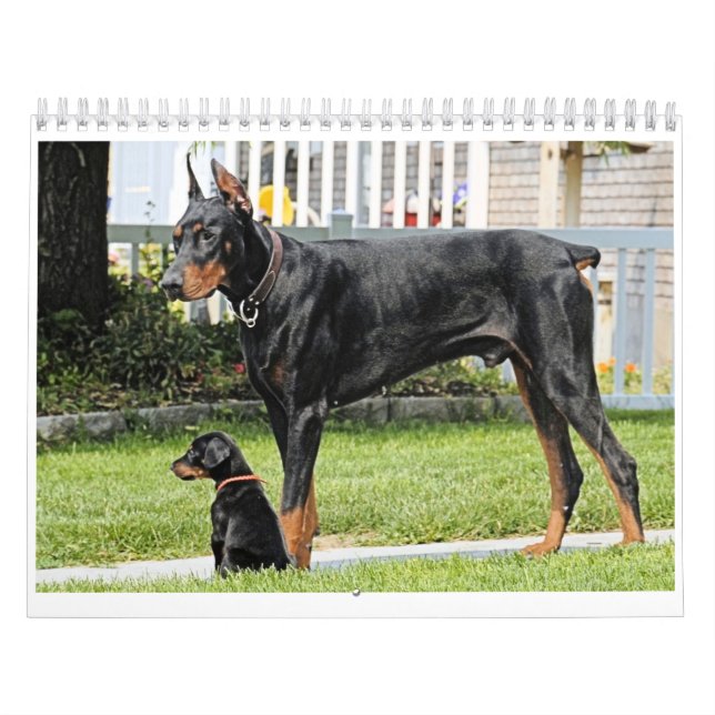 Calendario del Doberman (Tapa)