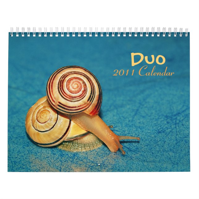 Calendario del dúo 2011 (Tapa)