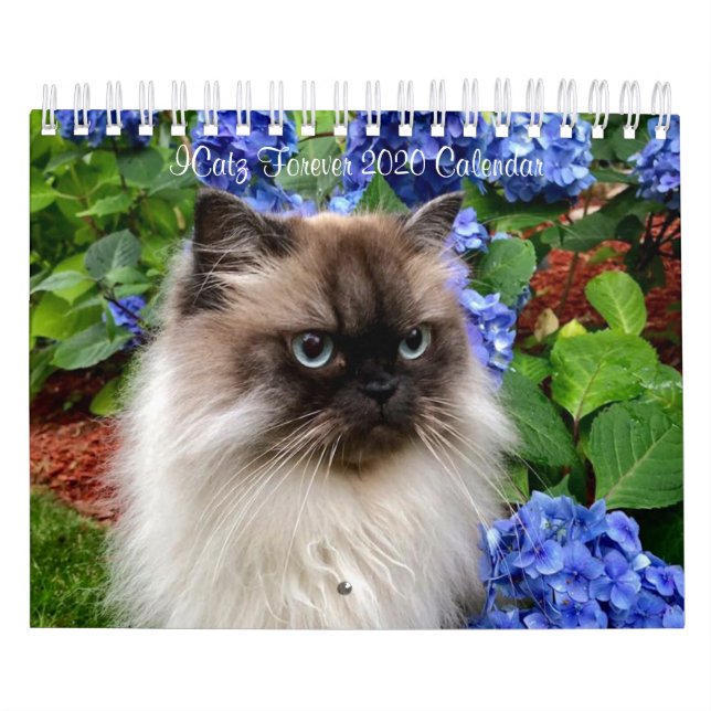 Calendario del equipo de ICatz para siempre 2020 (Tapa)