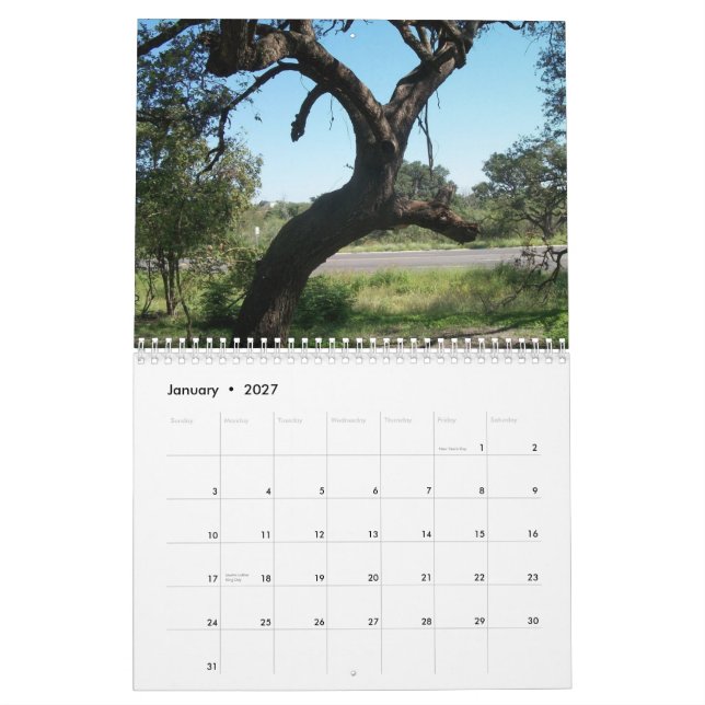 Calendario del espacio del verde de la cala del (Jan 2027)