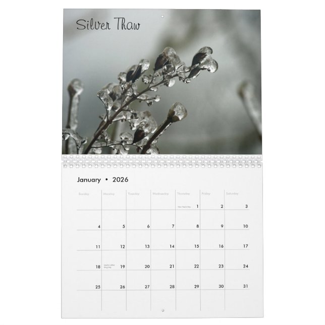 Calendario del estado que se lava (Jan 2026)