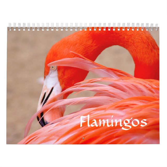 Calendario del flamenco (Tapa)