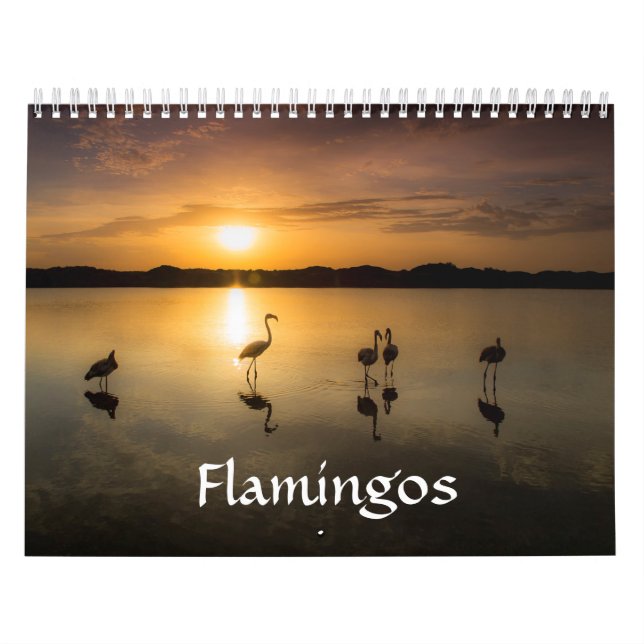 Calendario del flamenco (Tapa)