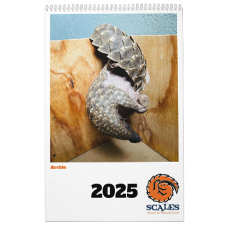 Calendario del Fondo de Rescate de Pangolin 2025