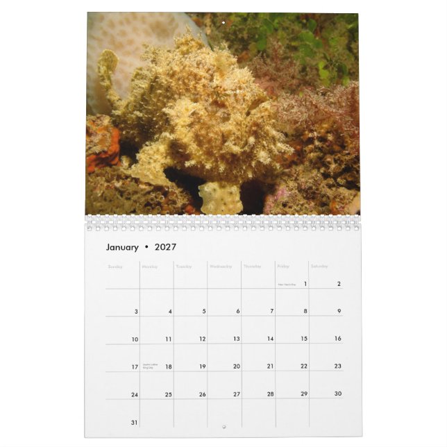 Calendario del Frogfish 2012 (Jan 2027)