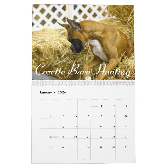 Calendario del funcionamiento del boxeador de la (Jan 2026)