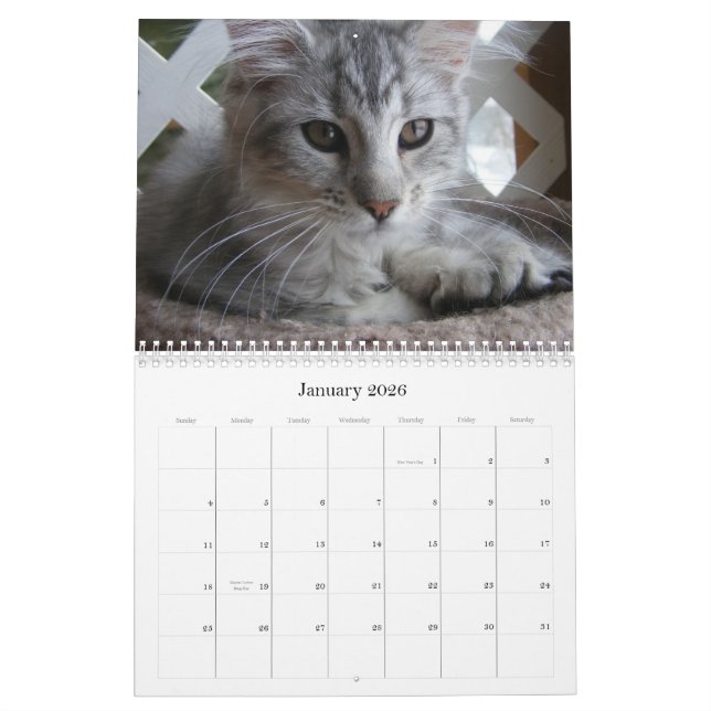 Calendario del gatito del Coon de Maine (Jan 2026)