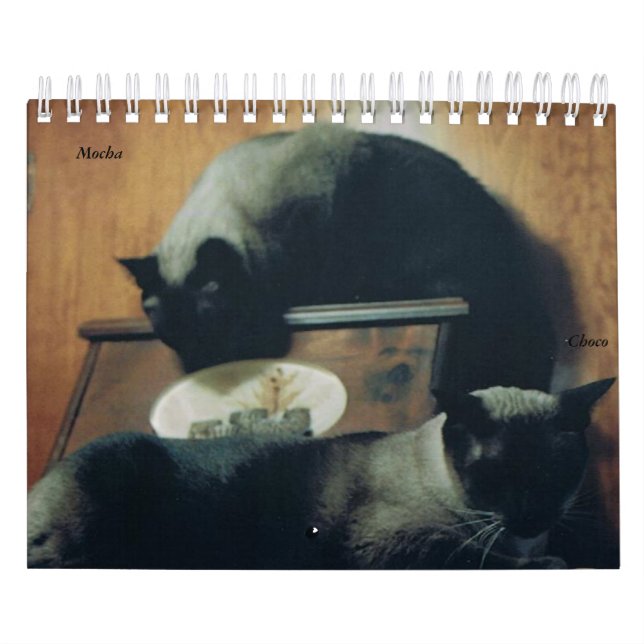 Calendario del gato (Tapa)