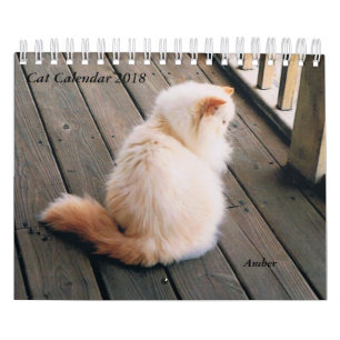 Calendario del gato