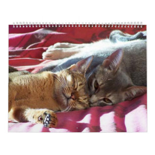 Calendario del gato