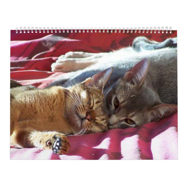 Calendario del gato (Tapa)