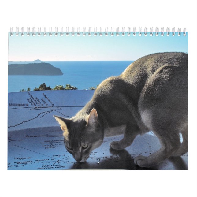 Calendario del gato (Tapa)