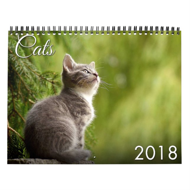 Calendario del gato 2018 y del gatito (Tapa)