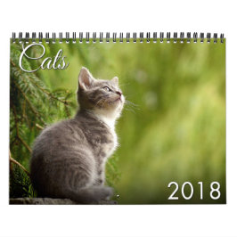 Calendario del gato 2018 y del gatito