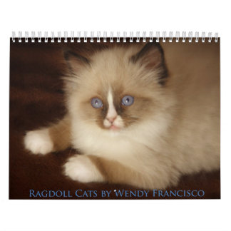 Calendario del gato de Ragdoll