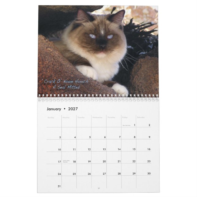 Calendario del gato de Ragdoll (Jan 2027)