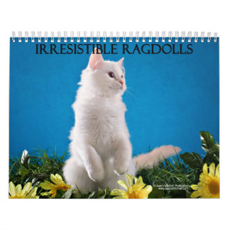 Calendario del gato de Ragdoll