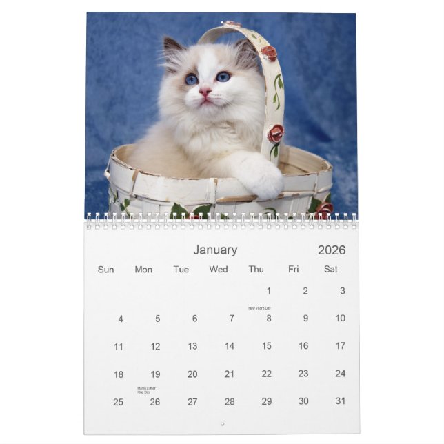 Calendario del gato de Ragdoll (Jan 2026)