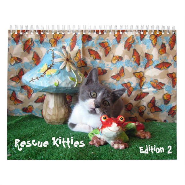 Calendario del gato de rescate - Edición 2 (Tapa)
