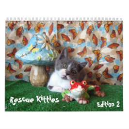 Calendario del gato de rescate - Edición 2