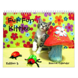Calendario del gato de rescate — Edición 3