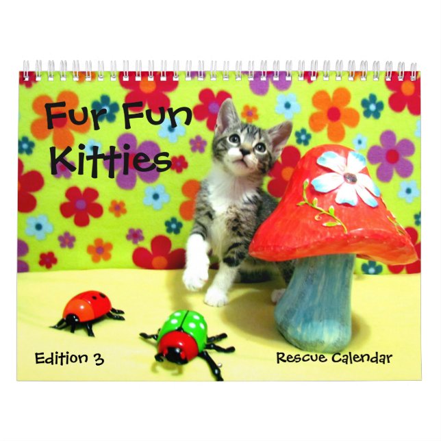 Calendario del gato de rescate — Edición 3 (Tapa)