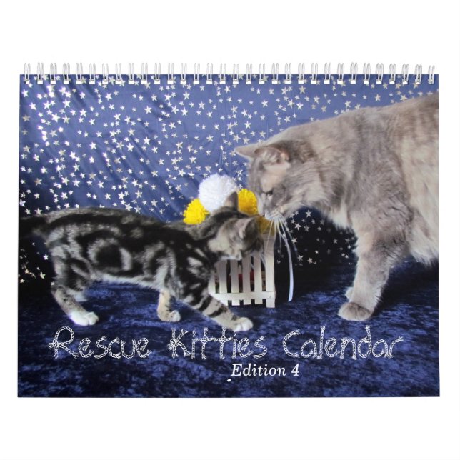 Calendario del gato de rescate - Edición 4 (Tapa)