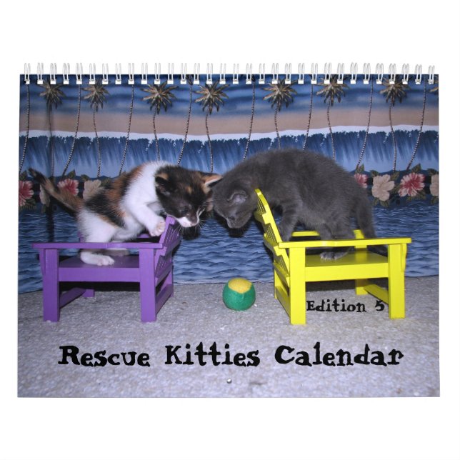 Calendario del gato de rescate - Edición 5 (Tapa)