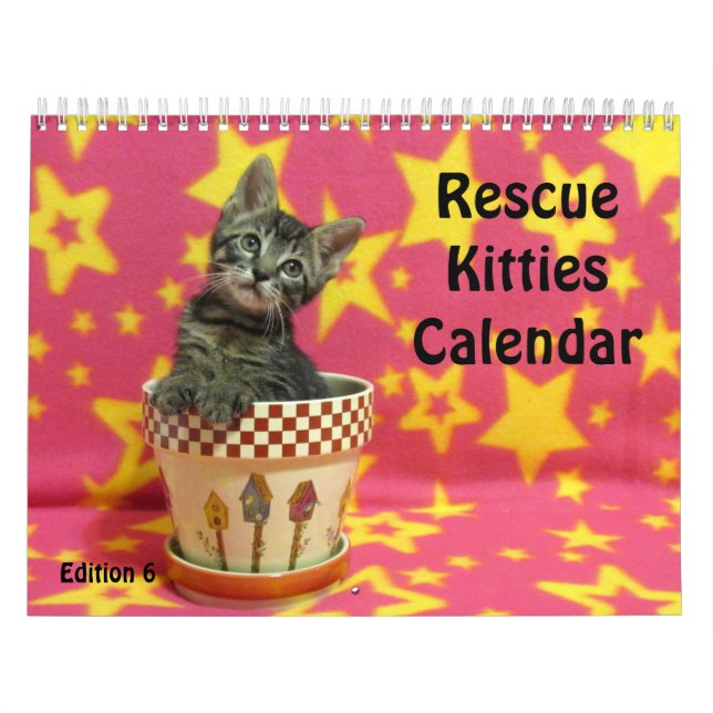 Calendario del gato de rescate - Edición 6 (Tapa)