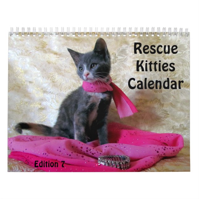 Calendario del gato de rescate - Edición 7 (Tapa)