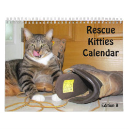 Calendario del gato de rescate - Edición 8
