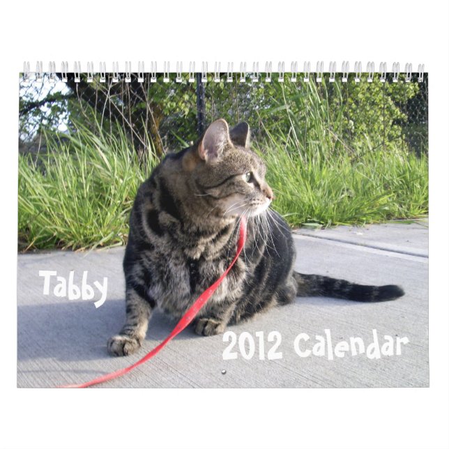 Calendario del gato de Tabby 2012 (Tapa)