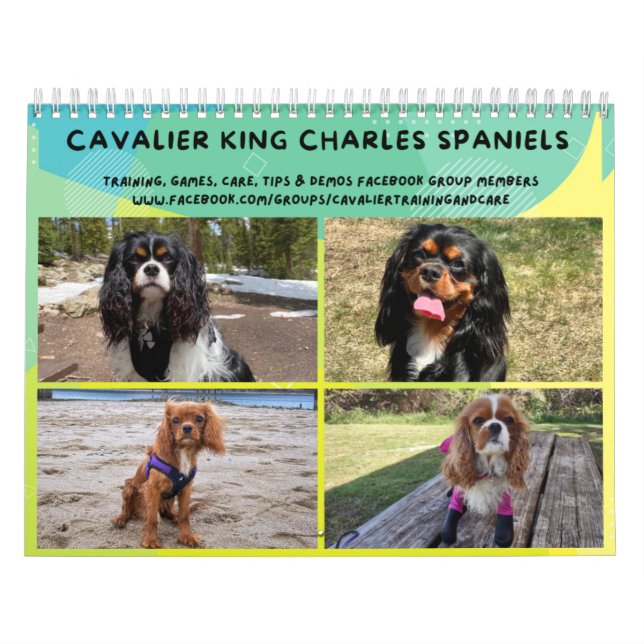 Calendario del Grupo FB Cavalier King Charles Span (Tapa)