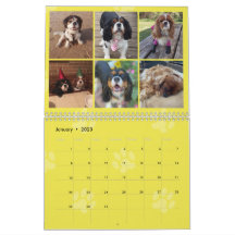 Calendario del grupo FB Cavalier King Charles Span