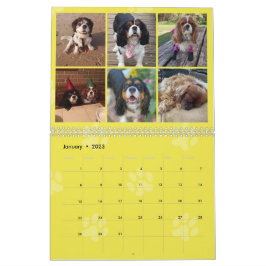 Calendario del grupo FB Cavalier King Charles Span