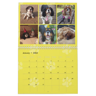 Calendario del grupo FB Cavalier King Charles Span
