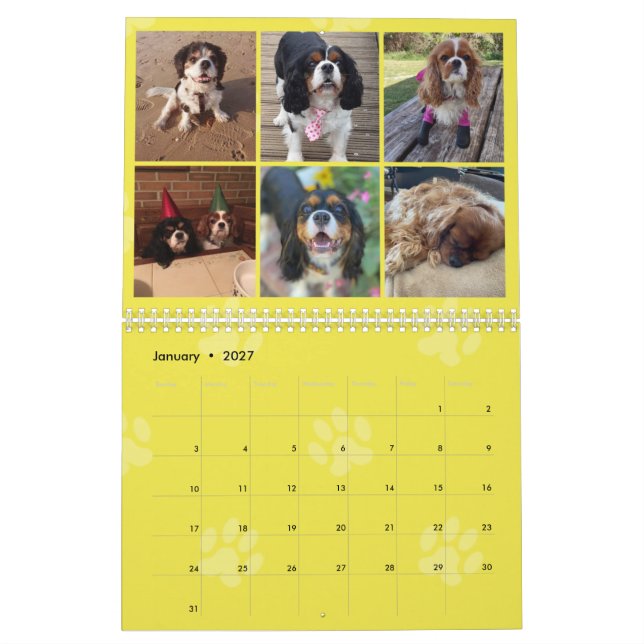 Calendario del grupo FB Cavalier King Charles Span (Jan 2027)